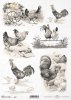 Wielkanoc, wiosna, kura, kury, kogut, koguty, R667, Easter, easter themes, spring, hen, rooster, eggs, chicks, chickens, retro, vintage, Ostern, Osterthemen, Frühling, Henne, Hühner, Hahn, Eier, Küken, Retro, Vintage, Pascua, primavera, gallina, gallo, hu